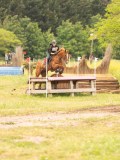 DSC07767 DSC07767
