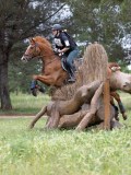 IMG_2928 IMG_2928
