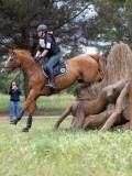 IMG_2929 IMG_2929