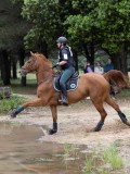 IMG_2930 IMG_2930