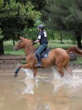 IMG_2933 IMG_2933