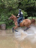 IMG_2935 IMG_2935