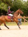 DSC04725 DSC04725