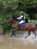 IMG_2766 IMG_2766