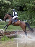 IMG_2770 IMG_2770