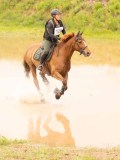 DSC07880 DSC07880