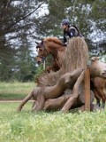 IMG_3018 IMG_3018