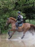IMG_3024 IMG_3024