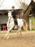 DSC05475 DSC05475