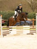 DSC07148 DSC07148