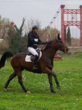 IMG_0443 IMG_0443