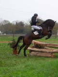 IMG_0452 IMG_0452