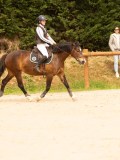 DSC08378 DSC08378
