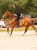 DSC02010