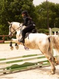 DSC04774 DSC04774
