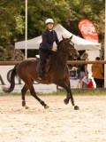 DSC03935 DSC03935