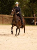 DSC03939 DSC03939