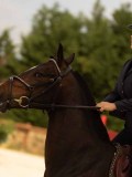 DSC03940 DSC03940