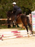 DSC03946 DSC03946