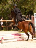DSC04259 DSC04259