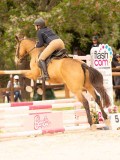 DSC05267 DSC05267