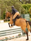 DSC05269 DSC05269