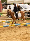 DSC01052