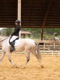 24_00451 24_00451