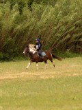 DSC01727 DSC01727