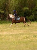 DSC01729 DSC01729