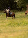 DSC01731 DSC01731