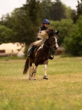 DSC01733 DSC01733