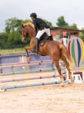 DSC04334 DSC04334