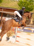 DSC08425 DSC08425