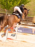 DSC08426 DSC08426