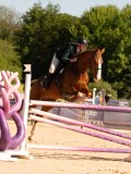 DSC04888 DSC04888