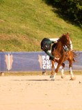 DSC04896 DSC04896