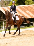 DSC03444 DSC03444