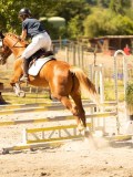 DSC07417 DSC07417