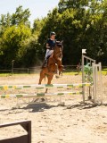 DSC07423 DSC07423