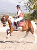 DSC03518 DSC03518