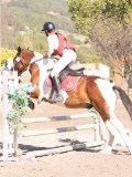DSC03519 DSC03519