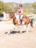DSC03524 DSC03524
