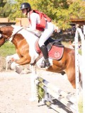 DSC03525 DSC03525