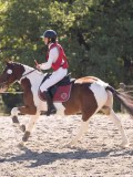 DSC03526 DSC03526
