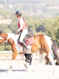 DSC03528 DSC03528