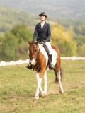 DSC05849 DSC05849