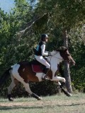 DSC_6009 DSC_6009