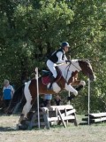 DSC_6010 DSC_6010