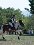DSC_6011 DSC_6011